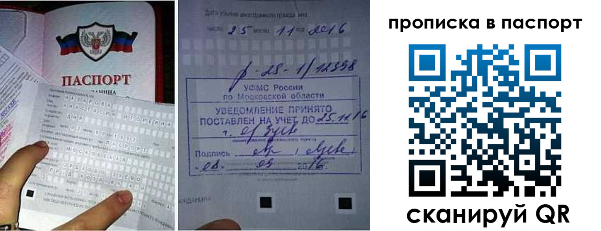 временная регистрация надежно в Архангельске